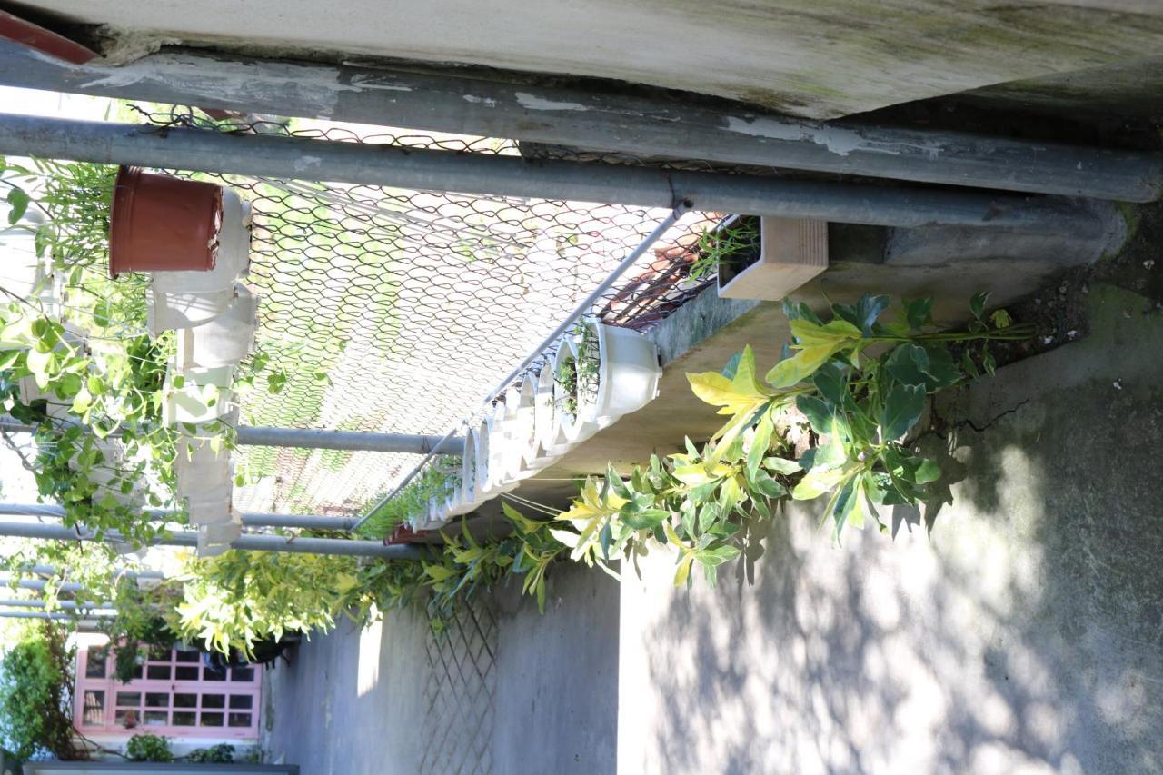 Green Garden House Hoi An Esterno foto