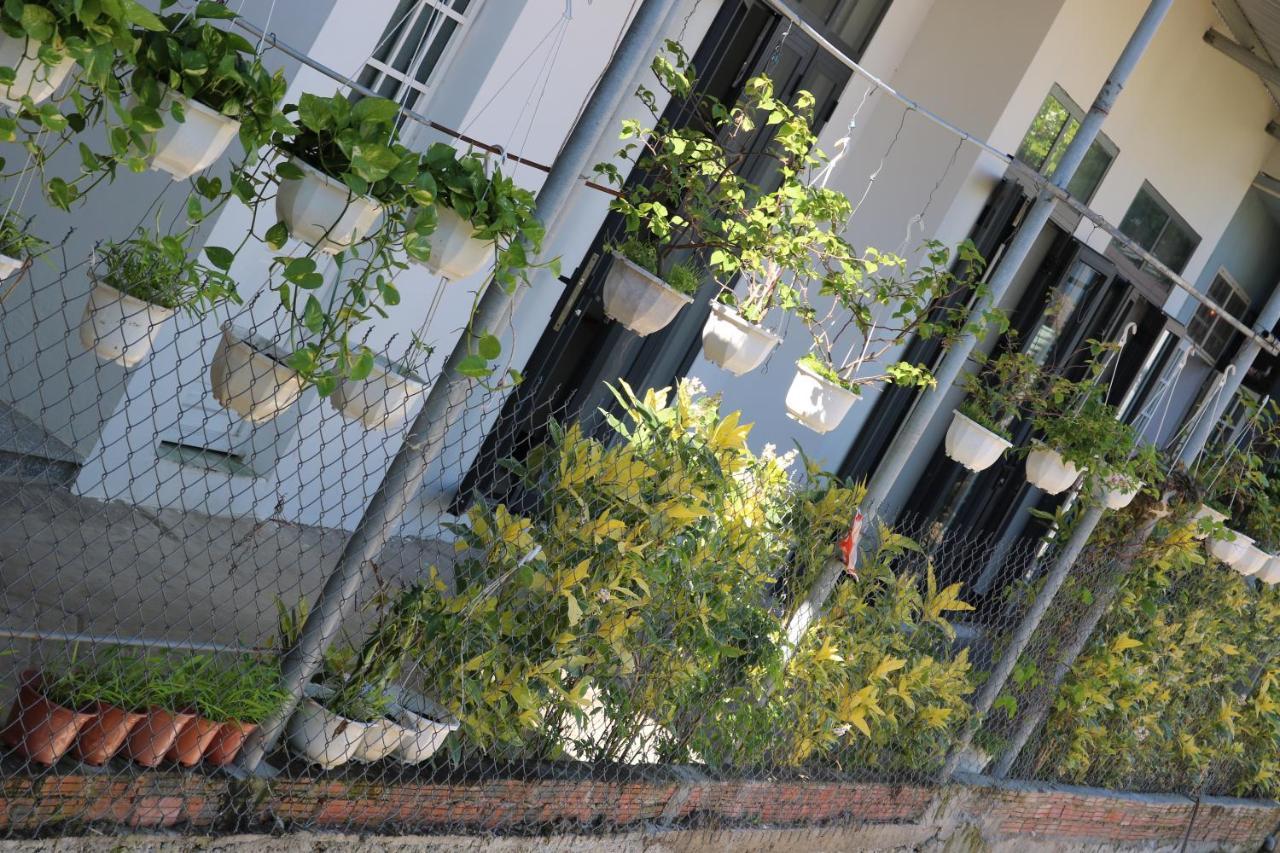 Green Garden House Hoi An Esterno foto